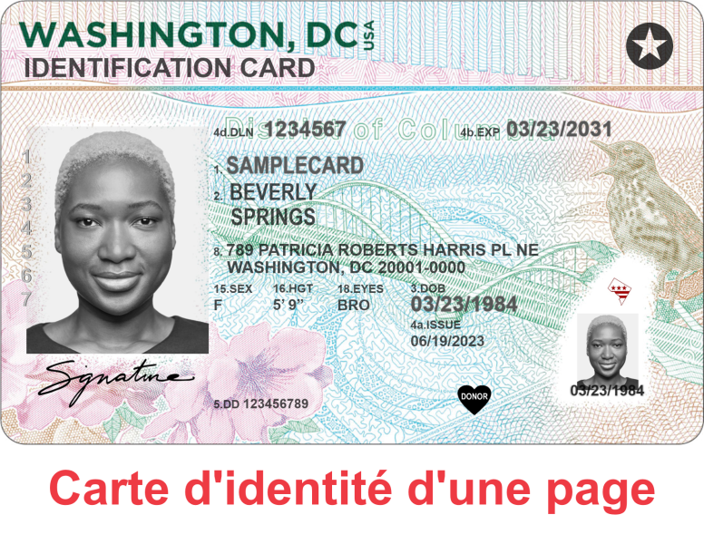 Carte d'identité d'une page